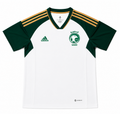 Saudi Arabia Away Jersey